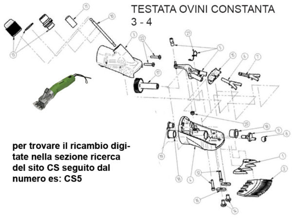 RICAMBIO CONSTANTA 3/4 OVINI FORCELLA SX  FIG CS7