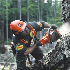 Affilatrice a catena a motosega,Kit Affilatura Catena Motosega,Kit  Affilatura Catena Motosega,Modello di affilatura per Ascia Motosega,Kit di  affilatura per motosega elettrica : : Giardino e giardinaggio