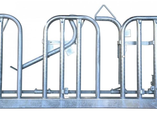 Porta fieno con autocatture - ANIMALI CON CORNA - CDM  2022 - immagine 3