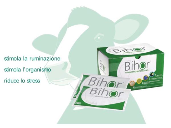 BIHOR RUMINATIVO 1 PZ.( CONF 12 PZ.x 125 gr )