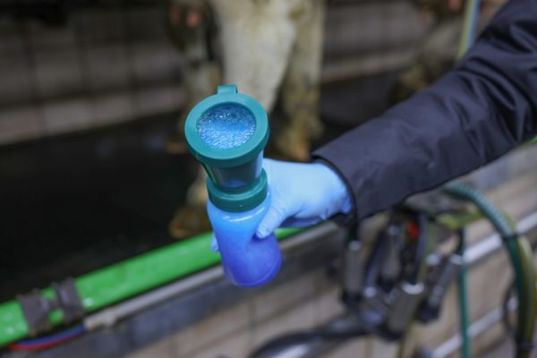 Bicchiere - Coppa di immersione x schiuma Foam Expert - immagine 5