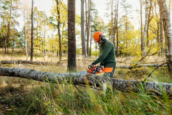 Motosega Husqvarna 435i - senza batteria e caricabatterie - immagine 5