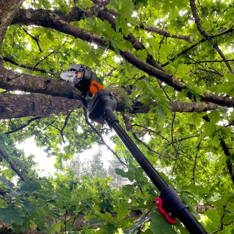 ASTA TELESCOPICA ALTUNA, lunga da cm. 123 a 263, per cesoie e motoseghe a batteria della gamma AF - immagine 5