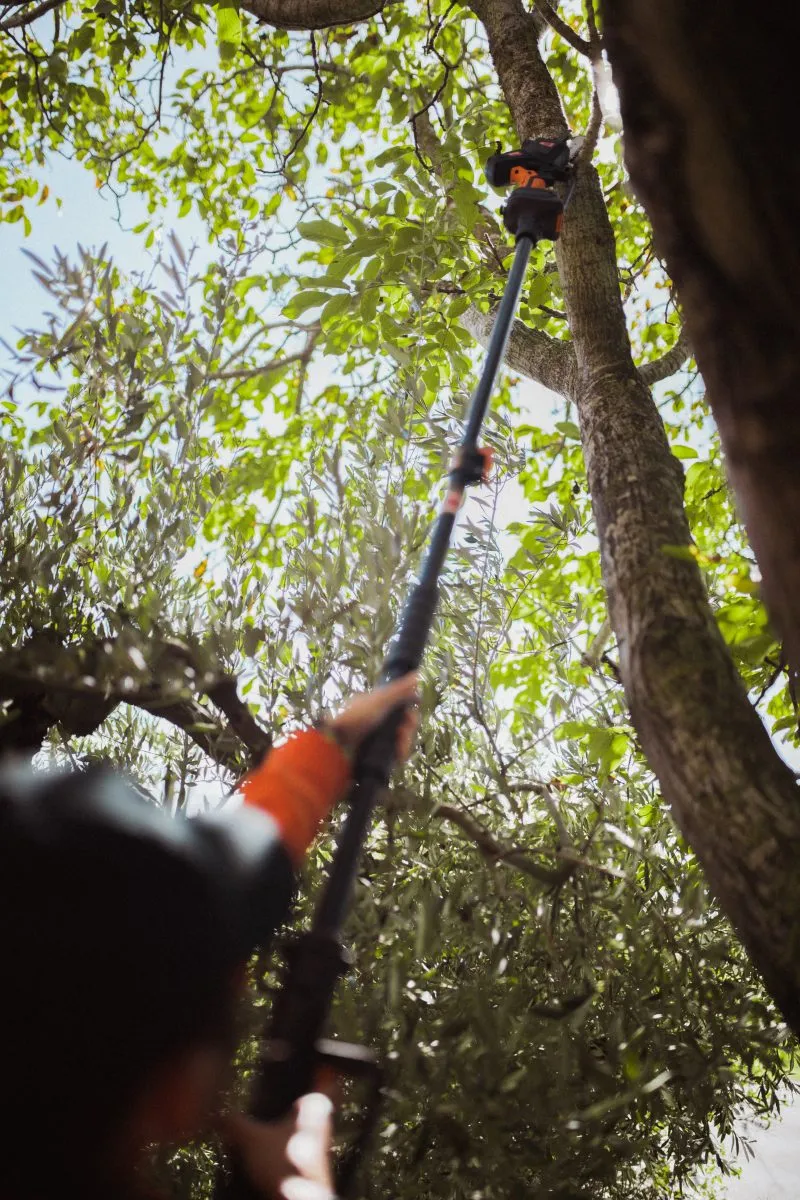 ASTA TELESCOPICA ALTUNA, lunga da cm. 123 a 263, per cesoie e motoseghe a batteria della gamma AF - immagine 4